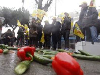 Protesta de COAG ante el Ministerio de Agricultura, Alimentación y Medio Ambiente, en Madrid, contra el acuerdo agrícola entre la UE y Marruecos. EFE/Archivo