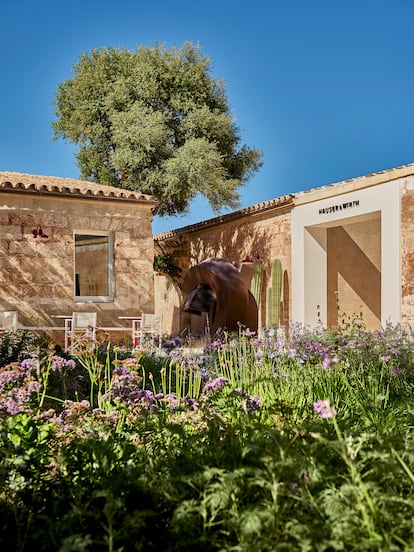 El jardín del espacio ha sido diseñado por el paisajista holandés Piet Oudolf, es su primera creación con flora mediterránea.