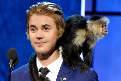 Justin Bieber.

OG Mally, el mono capuchino que le regalaron al cantante pop con motivo de su 19 cumpleaños, casi genera un incidente diplomático con Alemania cuando el aeropuerto de Múnich confiscó el animal a Bieber por no tener documentación. El canadiense decidió no reclamar a OG y actualmente vive en un zoo del país germánico.