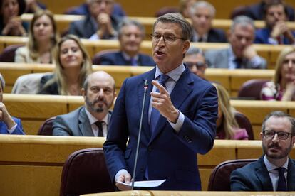 El líder del Partido Popular, Alberto Núñez Feijóo, durante la sesión de control al Gobierno en el Senado, este miércoles.