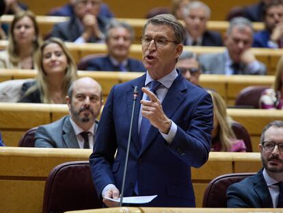 El líder del Partido Popular, Alberto Núñez Feijóo, durante la sesión de control al Gobierno en el Senado, este miércoles.
