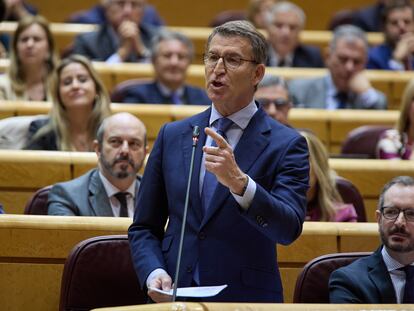 El líder del Partido Popular, Alberto Núñez Feijóo, durante la sesión de control al Gobierno en el Senado, este miércoles.