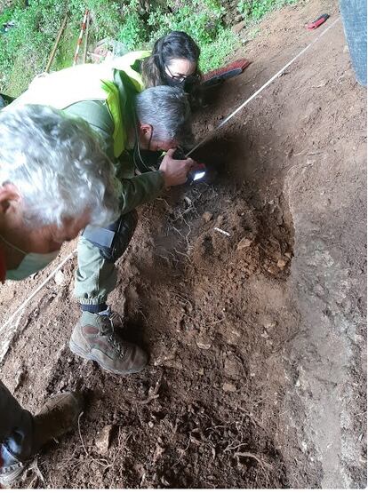 Dos arqueólogos trabajan directamente en la oquedad que escarbó el tejón en La Cuesta de Berció, en Asturias.