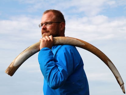 El paleogenetista Love Dalén sostiene un colmillo de mamut hallado en Siberia.