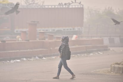 Una niña cruza una calle en la colonia de Geeta, envuelta en una niebla de contaminación, en 2018 en Nueva Delhi, India.