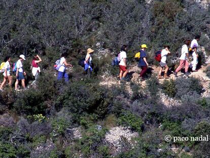 ¿Eres un dominguero de la naturaleza?