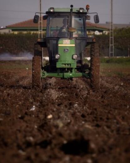 Un agricultor siembra trigo en una finca en la localidad sevillana de Brenes