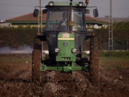 Un agricultor siembra trigo en una finca en la localidad sevillana de Brenes