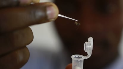 Recolecci&oacute;n de mosquitos para el estudio de la malaria.