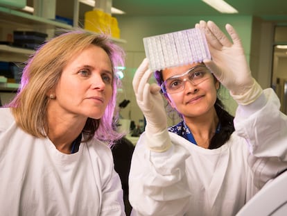 A la izquierda, Sharon Lewin, directora del Instituto Doherty para la Infección y la Inmunidad de Melbourne.
