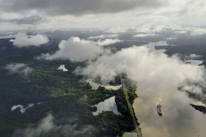 Además de los colosales cargueros de acero que atraviesan sus exclusas, el Canal de Panamá acoge legiones de criaturas en sus selváticos alredeores. Dos centros de visitantes cuentan con plataformas de observación y museos donde se muestra su proceso de construcción y ampliación.