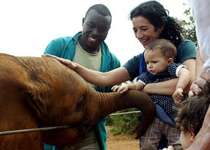 Unos turistas acarician una cría de elefante de 16 meses.