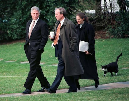 Socks segue Bill Clinton pelo um jardim da casa Branca, em 6 de março de 1997. Ao contrário dos Estados Unidos, embora os brasileiros gostem desses animais de estimação, ainda não há um Dia do Gato nacional.