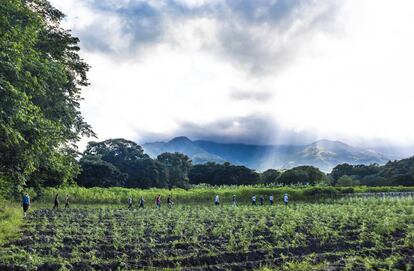 El espacio de reincorporación de Pondores está cerca de la imponente Serranía del Perijá.