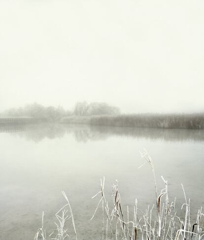 Daimiel, frio amanhecer.