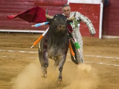 O veterano matador de touros, de 64 anos, foi chifrado e caiu de modo espantoso na ‘plaza’ de Ciudad Lerdo, em Durango