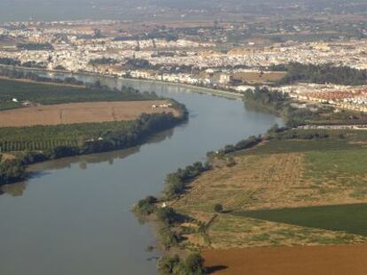 El Guadalquivir a su paso por Coria y La Puebla del Río.