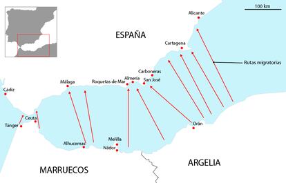 Rutas migratorias desde el norte de África