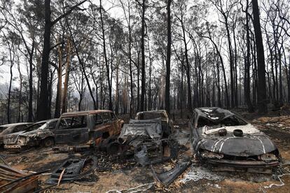 Detalle de unos coches quemados por los fuegos en Australia, que además de daños incalculables en el ecosistema han dejado ya 25 víctimas mortales desde su inicio.