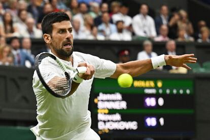 Djokovic Alcaraz