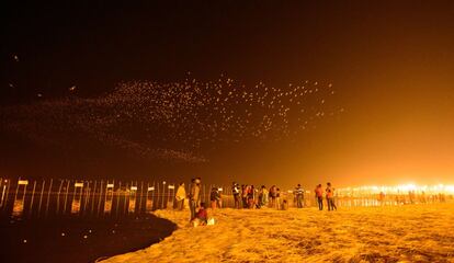 Una bandada de pájaros sobrevuela a los peregrinos durante el festival anual Magh Mela, en Allahabad (India).