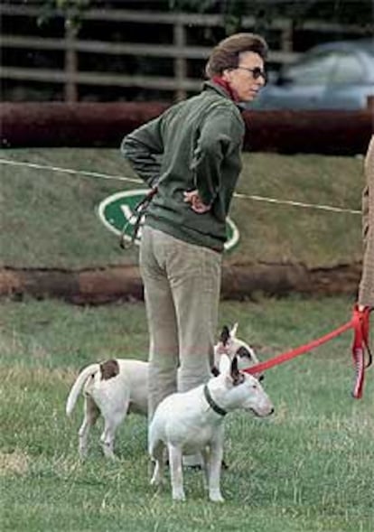 La princesa Ana de Inglaterra, con sus dos bull terrier, uno de los cuales atacó y causó graves heridas a uno de los perros de la reina.