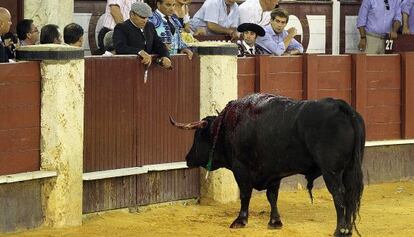 El segundo toro del diestro Salvador Vega, que tuvo que ser apuntillado en la plaza de la Malagueta el pasado viernes tras tres avisos.
