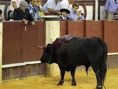 El segundo toro del diestro Salvador Vega, que tuvo que ser apuntillado en la plaza de la Malagueta el pasado viernes tras tres avisos.