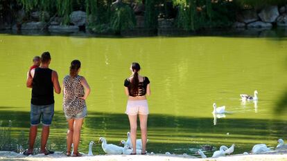 El lago del parque forestal de El Soto de Móstoles, este domingo.