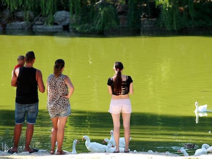 El lago del parque forestal de El Soto de Móstoles, este domingo.