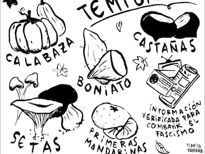 Flavita Banana: consumo de temporada