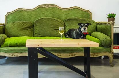 'Colega', la mascota del portal perruno, en un bar que acepta canes.