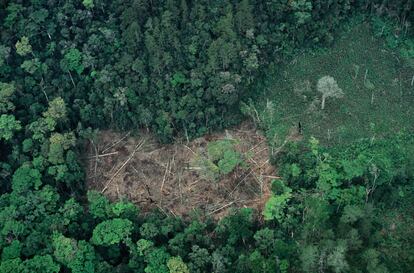 Deforestación en el Estado mexicano de Chiapas.