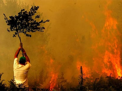 Un hombre intenta apagar el fuego con una rama en Cerdedo (Pontevedra).