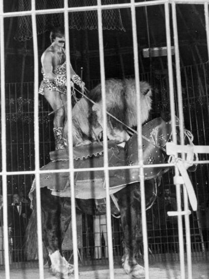 Miguel de la Quadra-Salcedo durante su participación en una gala de circo a beneficio de Unicef en Madrid, el 21 de noviembre de 1977.