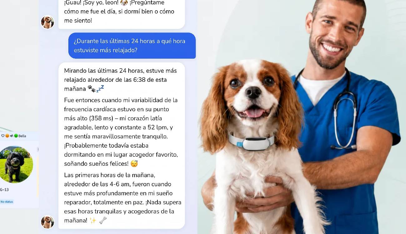 Invoxia estrena una función que convierte los datos de salud de tu perro en conversaciones