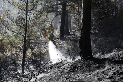 Labora de extinción de un incendio en el puerto de la Morcuera.