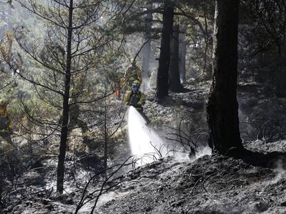 Labora de extinción de un incendio en el puerto de la Morcuera.