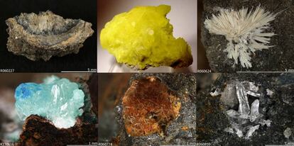 Seis minerales antropog&eacute;nicos: En el sentido del reloj y empezando arriba a la izquierda, abhurita, andersonita, metamunirita, simonkolleita, nealita y fiedlerita.