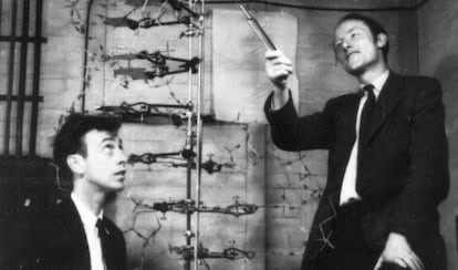 Francis Crick y James Watson, en el laboratorio Cold Spring Harbor con una representación de su hallazgo: la doble hélice de ADN, en 1953.