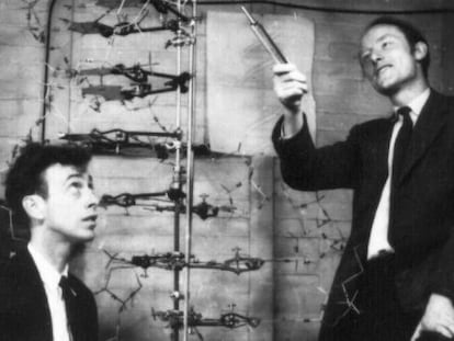 Crick y Watson en el laboratorio Cold Spring Harbor.