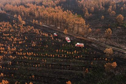 Los bomberos monitorean la situación en una área forestal después de los incendios, cerca de Landiras.