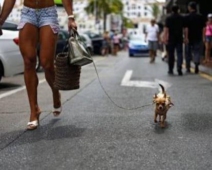 A shopper in Marbella, where the crisis has not been felt as hard.