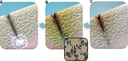 Esquema del papel de la flexoelectricidad en la reparación y remodelación ósea. Fuente: Investigation of The Cellular Response to Bone Fractures: Evidence for Flexoelectricity