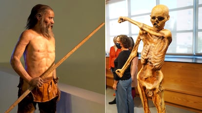 Hace una década se recreó el aspecto, a la izquierda, que tendría Ötzi. Un nuevo estudio sostiene que este hombre del Neolítico se parecía más a su momia de lo que se creía.