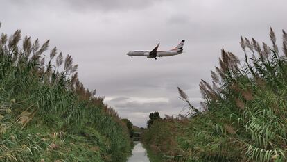 Un avión sobre un humedal del delta de Llobregat durante su aterrizaje en El Prat.