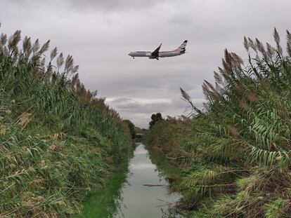 Un avión sobre un humedal del delta de Llobregat durante su aterrizaje en El Prat.