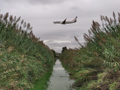 Un avión sobrevuela un humedal del delta del Llobregat durante su aterrizaje en El Prat.