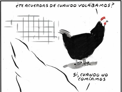 El Roto