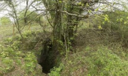 Sima de Legarrea, the pit where the human remains were found.